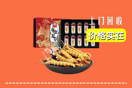 巴音郭楞和静县回收冬虫夏草
